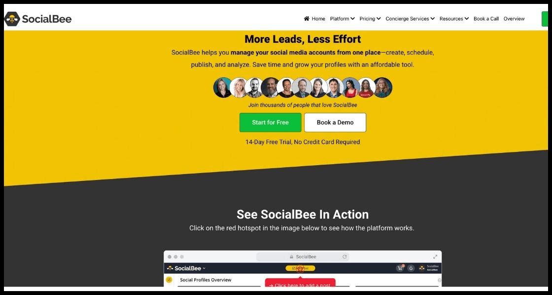 SocialBee