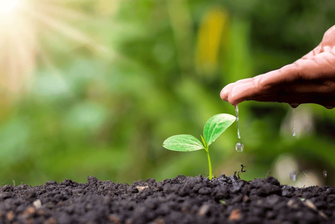 Los 15 Hábitos de Las Personas Exitosas que Disfrutan del Lujo Auténtico